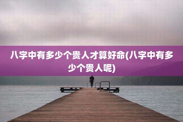 八字中有多少个贵人才算好命(八字中有多少个贵人呢)