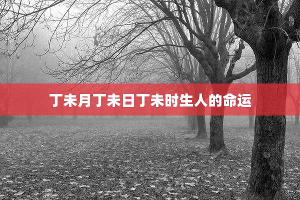 丁未月丁未日丁未时生人的命运