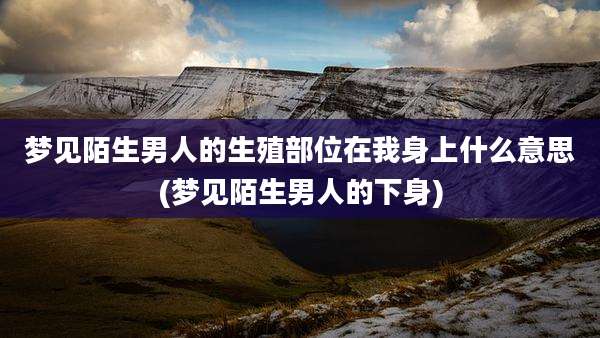 梦见陌生男人的生殖部位在我身上什么意思(梦见陌生男人的下身)