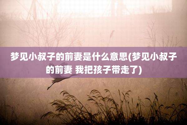 梦见小叔子的前妻是什么意思(梦见小叔子的前妻 我把孩子带走了)