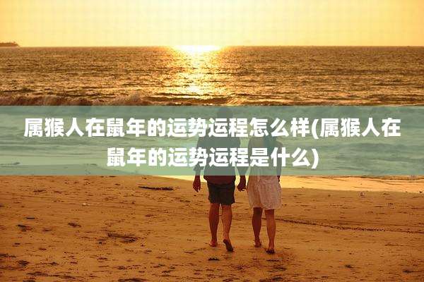 属猴人在鼠年的运势运程怎么样(属猴人在鼠年的运势运程是什么)