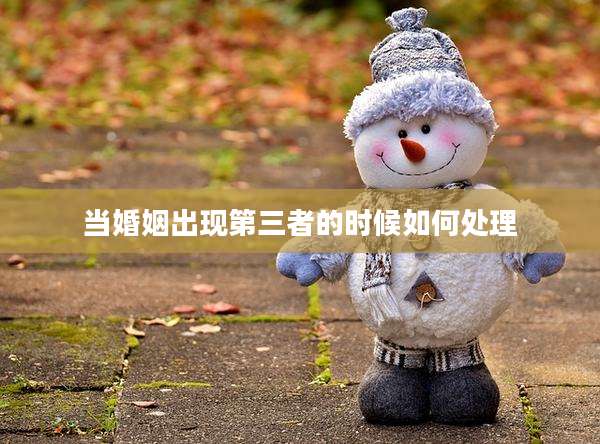 当婚姻出现第三者的时候如何处理