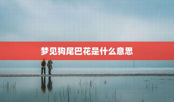 梦见狗尾巴花是什么意思