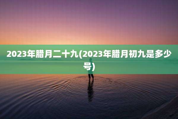 2023年腊月二十九(2023年腊月初九是多少号)