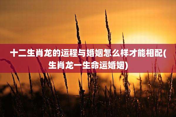 十二生肖龙的运程与婚姻怎么样才能相配(生肖龙一生命运婚姻)