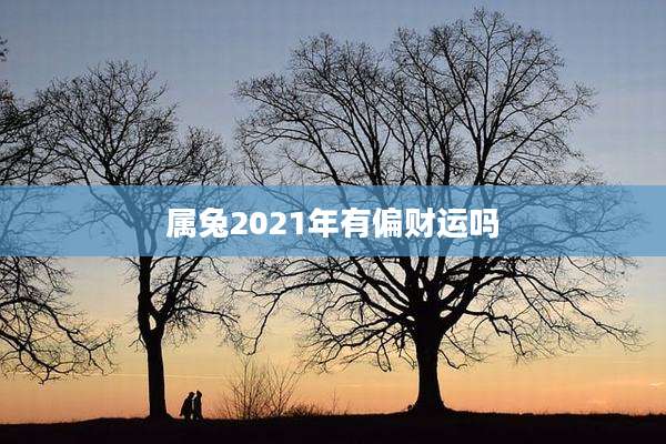 属兔2021年有偏财运吗