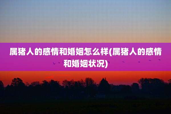 属猪人的感情和婚姻怎么样(属猪人的感情和婚姻状况)
