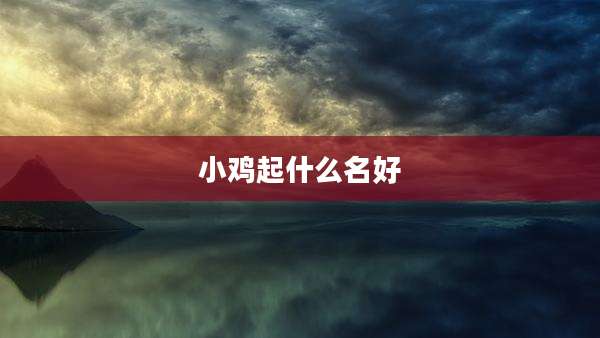 小鸡起什么名好