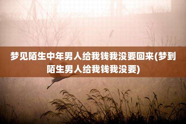 梦见陌生中年男人给我钱我没要回来(梦到陌生男人给我钱我没要)