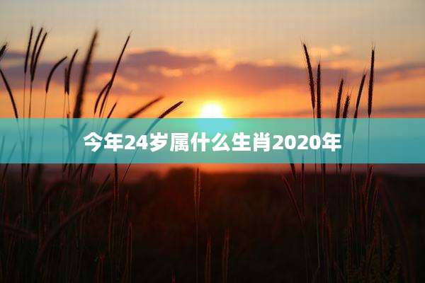 今年24岁属什么生肖2020年