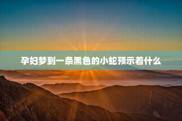 孕妇梦到一条黑色的小蛇预示着什么