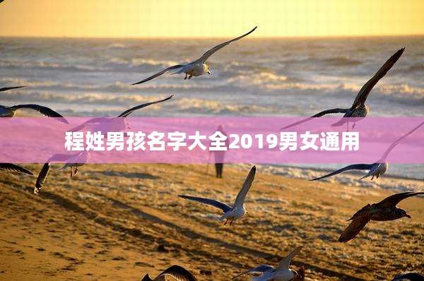程姓男孩名字大全2019男女通用