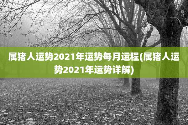 属猪人运势2021年运势每月运程(属猪人运势2021年运势详解)