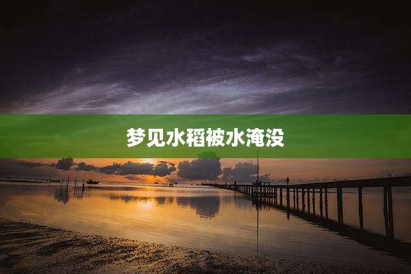 梦见水稻被水淹没