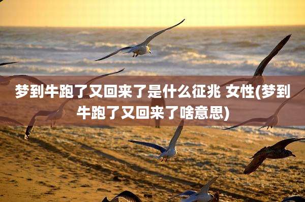 梦到牛跑了又回来了是什么征兆 女性(梦到牛跑了又回来了啥意思)
