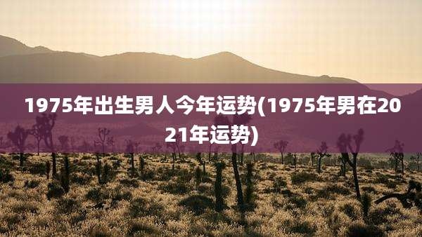 1975年出生男人今年运势(1975年男在2021年运势)