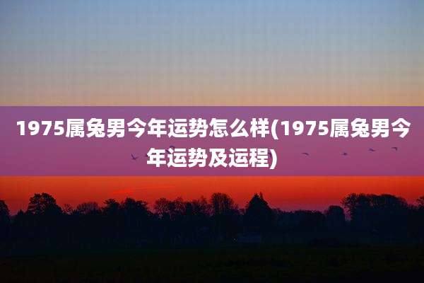 1975属兔男今年运势怎么样(1975属兔男今年运势及运程)