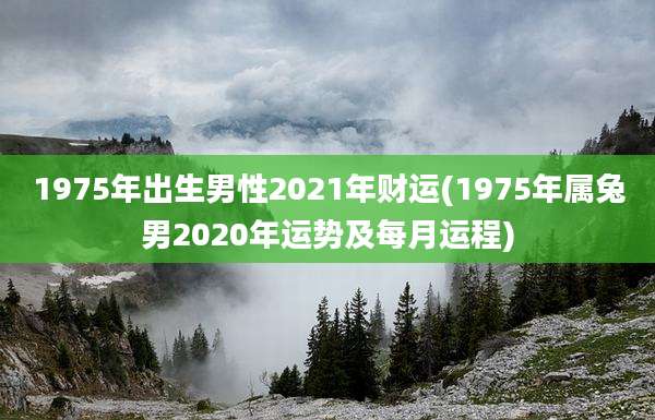 1975年出生男性2021年财运(1975年属兔男2020年运势及每月运程)