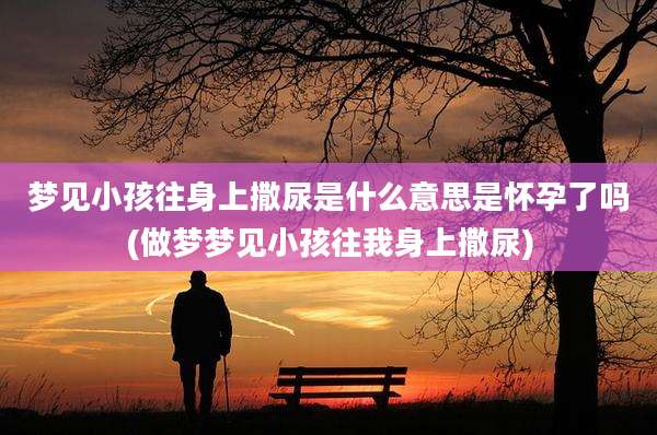 梦见小孩往身上撒尿是什么意思是怀孕了吗(做梦梦见小孩往我身上撒尿)