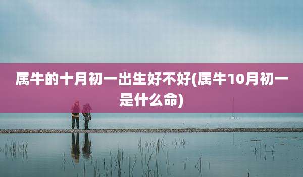 属牛的十月初一出生好不好(属牛10月初一是什么命)