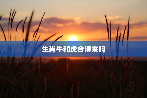 生肖牛和虎合得来吗