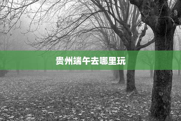 贵州端午去哪里玩