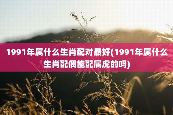 1991年属什么生肖配对最好(1991年属什么生肖配偶能配属虎的吗)