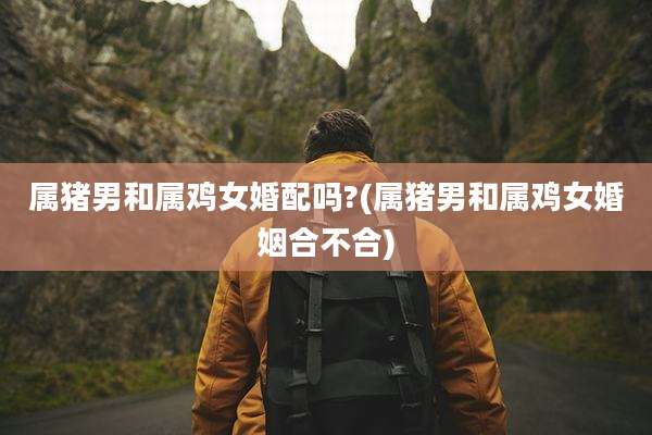 属猪男和属鸡女婚配吗?(属猪男和属鸡女婚姻合不合)
