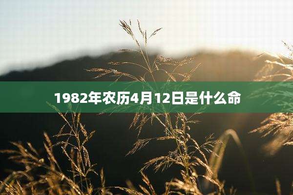 1982年农历4月12日是什么命