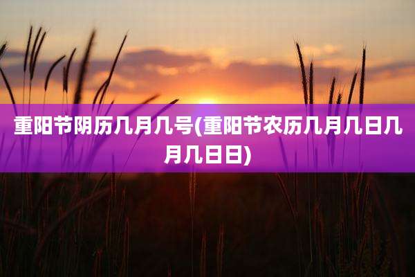 重阳节阴历几月几号(重阳节农历几月几日几月几日日)