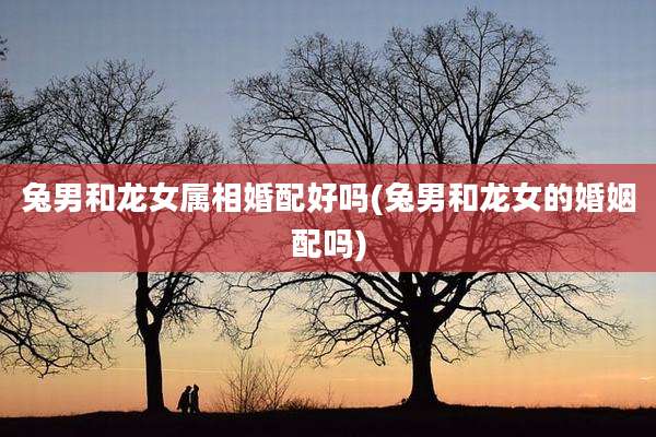 兔男和龙女属相婚配好吗(兔男和龙女的婚姻配吗)