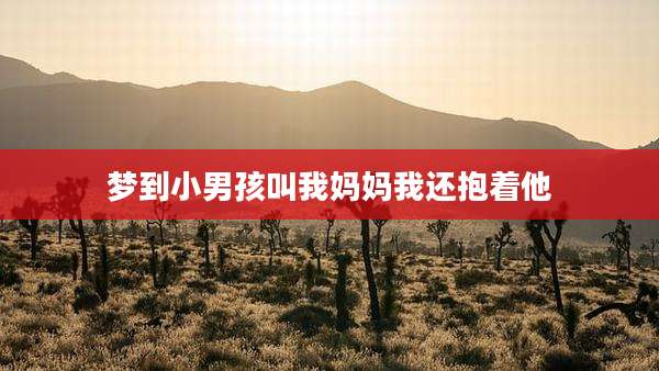 梦到小男孩叫我妈妈我还抱着他