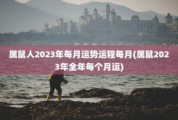 属鼠人2023年每月运势运程每月(属鼠2023年全年每个月运)