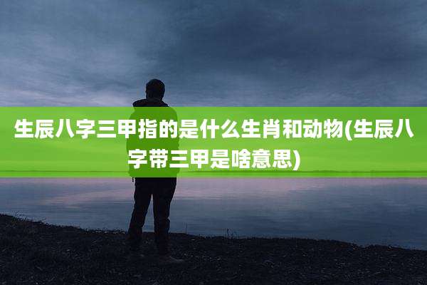 生辰八字三甲指的是什么生肖和动物(生辰八字带三甲是啥意思)