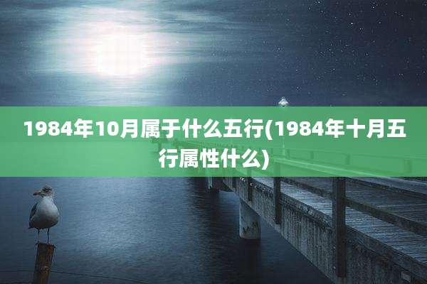 1984年10月属于什么五行(1984年十月五行属性什么)