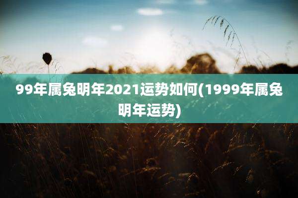 99年属兔明年2021运势如何(1999年属兔明年运势)