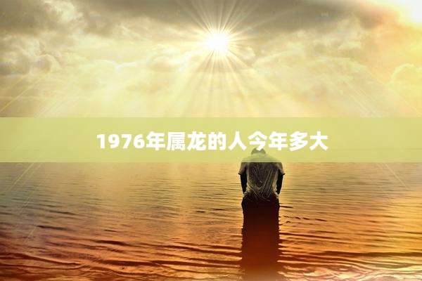 1976年属龙的人今年多大