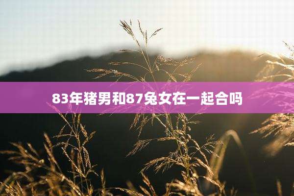 83年猪男和87兔女在一起合吗