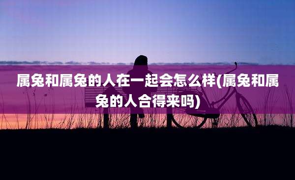 属兔和属兔的人在一起会怎么样(属兔和属兔的人合得来吗)