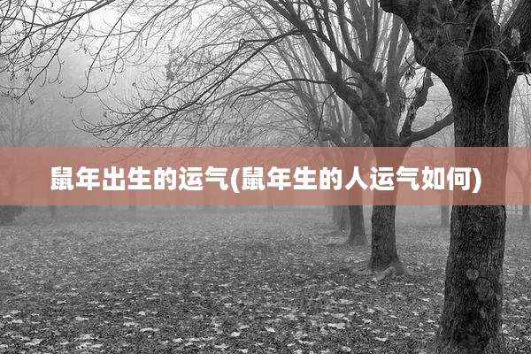 鼠年出生的运气(鼠年生的人运气如何)