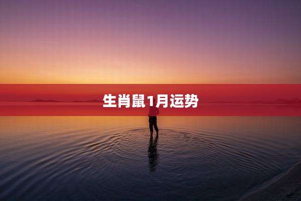 生肖鼠1月运势