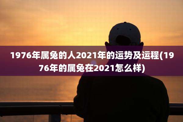 1976年属兔的人2021年的运势及运程(1976年的属兔在2021怎么样)