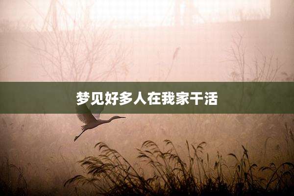 梦见好多人在我家干活