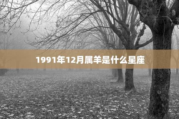 1991年12月属羊是什么星座