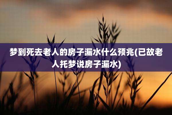 梦到死去老人的房子漏水什么预兆(已故老人托梦说房子漏水)