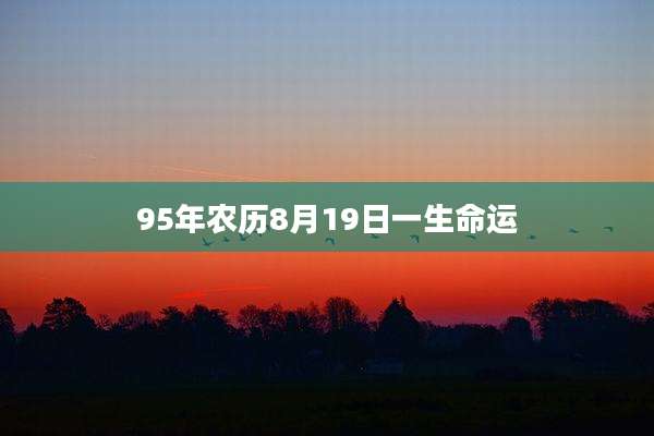 95年农历8月19日一生命运
