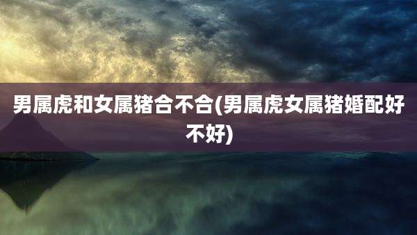男属虎和女属猪合不合(男属虎女属猪婚配好不好)