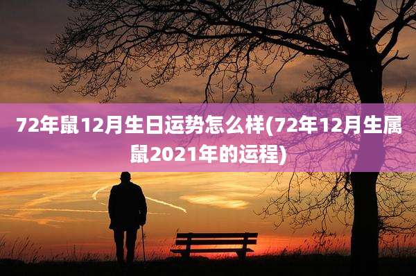 72年鼠12月生日运势怎么样(72年12月生属鼠2021年的运程)