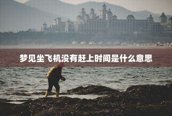 梦见坐飞机没有赶上时间是什么意思