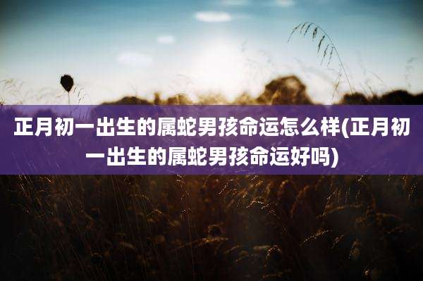 正月初一出生的属蛇男孩命运怎么样(正月初一出生的属蛇男孩命运好吗)